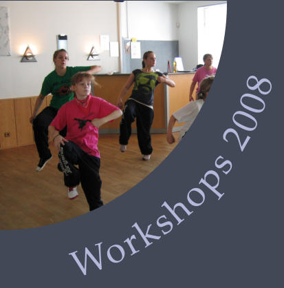 Workshops 2008